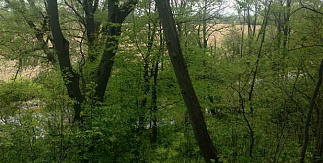 B53650_401_12